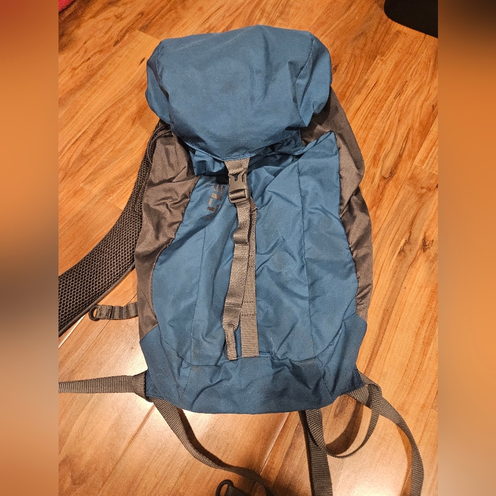 Blue and Gray Hiking Backpack